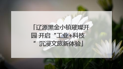 辽源黑金小镇璀璨开园 开启“工业+科技”沉浸文旅新体验