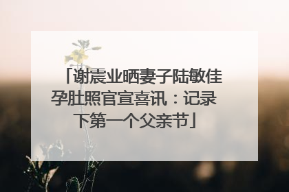 谢震业晒妻子陆敏佳孕肚照官宣喜讯：记录下第一个父亲节