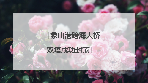 象山港跨海大桥双塔成功封顶