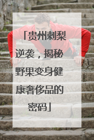 贵州刺梨逆袭，揭秘野果变身健康奢侈品的密码