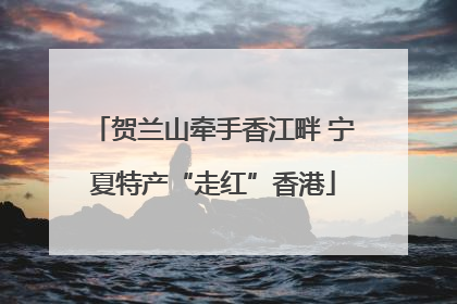贺兰山牵手香江畔 宁夏特产“走红”香港