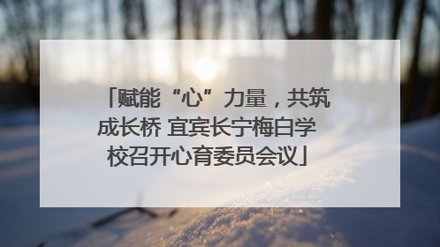 赋能“心”力量，共筑成长桥 宜宾长宁梅白学校召开心育委员会议
