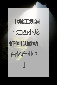 赣江观澜：江西小龙虾何以撬动百亿产业？