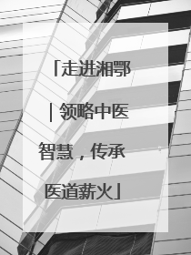走进湘鄂｜领略中医智慧，传承医道薪火