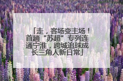 走，客场变主场！首趟“苏超”专列连通宁淮，跨城追球成长三角人新日常