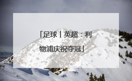 足球丨英超：利物浦庆祝夺冠