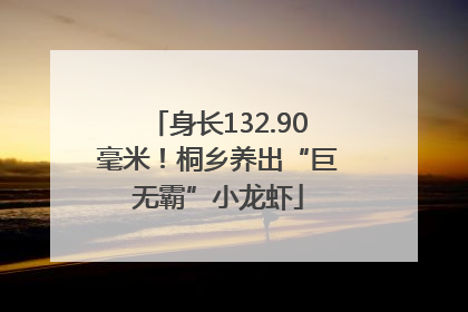 身长132.90毫米！桐乡养出“巨无霸”小龙虾