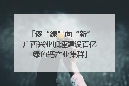 逐“绿”向“新” 广西兴业加速建设百亿绿色钙产业集群