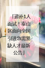 递补1人面试！泰山区面向全国引进急需紧缺人才最新公告