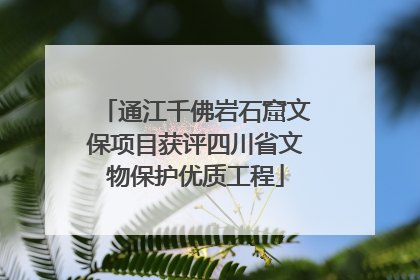 通江千佛岩石窟文保项目获评四川省文物保护优质工程