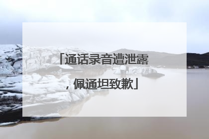 通话录音遭泄露，佩通坦致歉