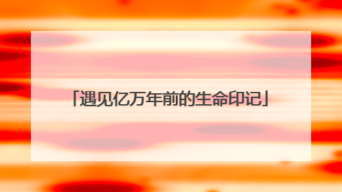 遇见亿万年前的生命印记
