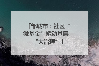 邹城市：社区“微基金”撬动基层“大治理”