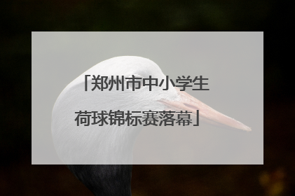 郑州市中小学生荷球锦标赛落幕