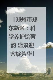 郑州市郑东新区：科学养护绘荷韵 盛景迎客绽芳华