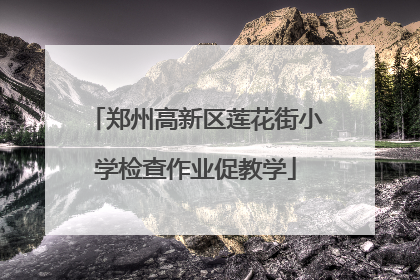 郑州高新区莲花街小学检查作业促教学