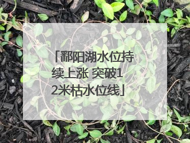 鄱阳湖水位持续上涨 突破12米枯水位线