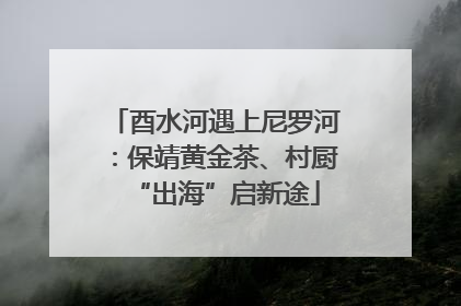 酉水河遇上尼罗河：保靖黄金茶、村厨“出海”启新途