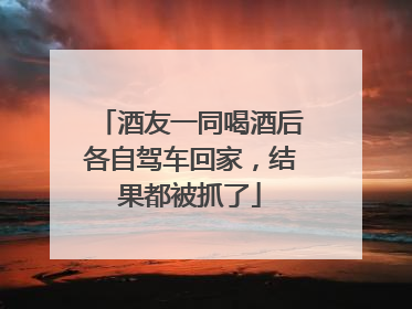 酒友一同喝酒后各自驾车回家，结果都被抓了