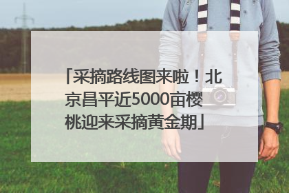 采摘路线图来啦！北京昌平近5000亩樱桃迎来采摘黄金期