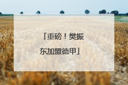 重磅！樊振东加盟德甲