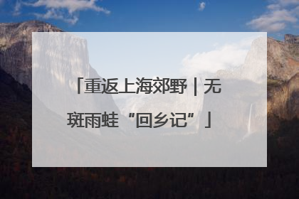 重返上海郊野｜无斑雨蛙“回乡记”
