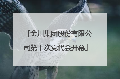 金川集团股份有限公司第十次党代会开幕