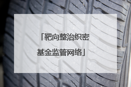 靶向整治织密基金监管网络