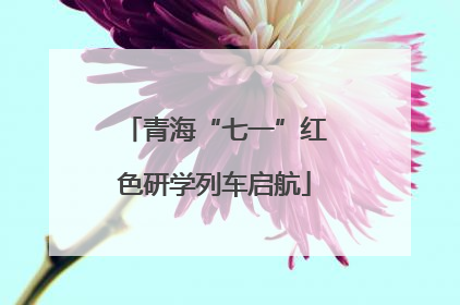青海“七一”红色研学列车启航