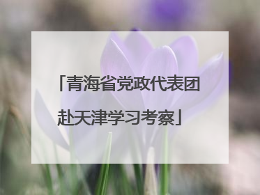 青海省党政代表团赴天津学习考察