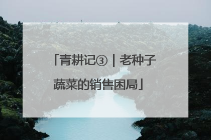 青耕记③｜老种子蔬菜的销售困局