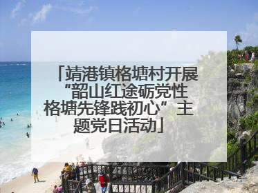 靖港镇格塘村开展“韶山红途砺党性 格塘先锋践初心”主题党日活动