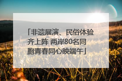 非遗展演、民俗体验齐上阵 两岸80名同胞青春同心映端午