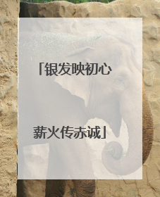 银发映初心 薪火传赤诚