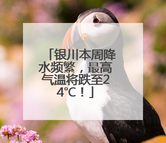 银川本周降水频繁，最高气温将跌至24℃！