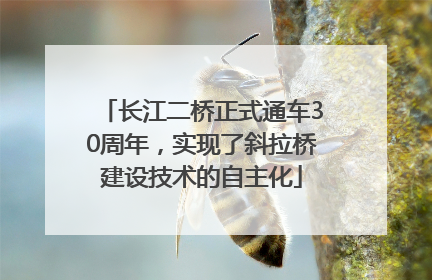 长江二桥正式通车30周年，实现了斜拉桥建设技术的自主化
