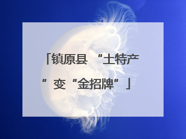 镇原县 “土特产”变“金招牌”