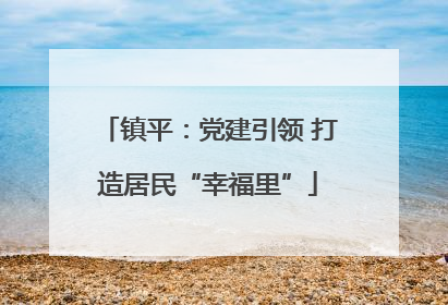 镇平：党建引领 打造居民“幸福里”