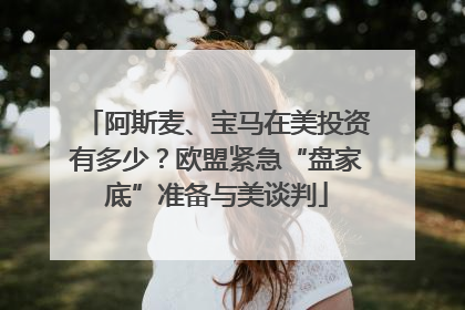 阿斯麦、宝马在美投资有多少？欧盟紧急“盘家底”准备与美谈判