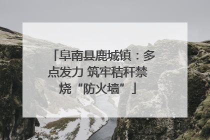 阜南县鹿城镇：多点发力 筑牢秸秆禁烧“防火墙”