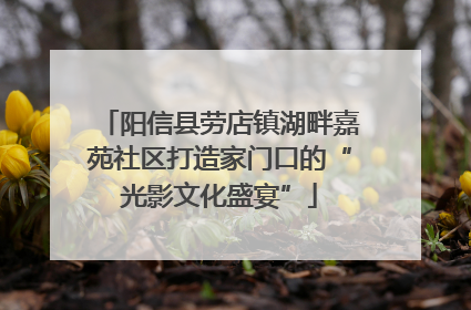 阳信县劳店镇湖畔嘉苑社区打造家门口的“光影文化盛宴”