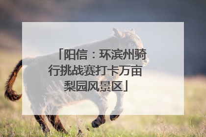 阳信：环滨州骑行挑战赛打卡万亩梨园风景区