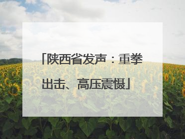 陕西省发声：重拳出击、高压震慑