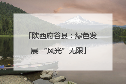 陕西府谷县：绿色发展 “风光”无限