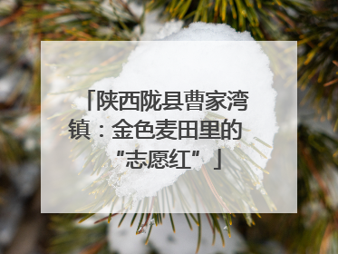 陕西陇县曹家湾镇：金色麦田里的“志愿红”