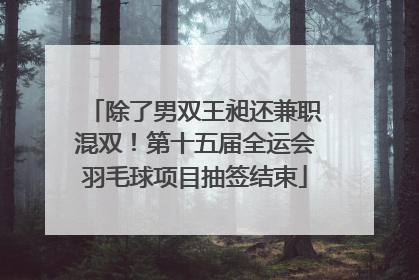 除了男双王昶还兼职混双！第十五届全运会羽毛球项目抽签结束