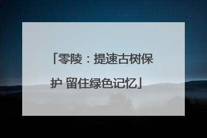 零陵：提速古树保护 留住绿色记忆