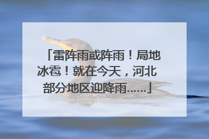 雷阵雨或阵雨！局地冰雹！就在今天，河北部分地区迎降雨……