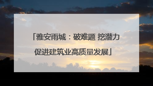 雅安雨城：破难题 挖潜力 促进建筑业高质量发展