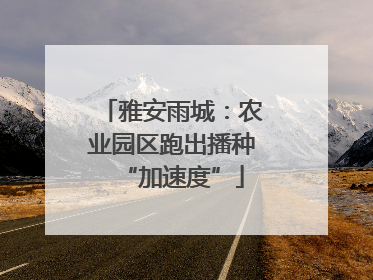 雅安雨城：农业园区跑出播种“加速度”